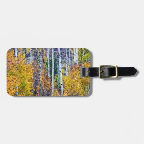 Aspen Tree Magic Cottonwood Pass Luggage Tag