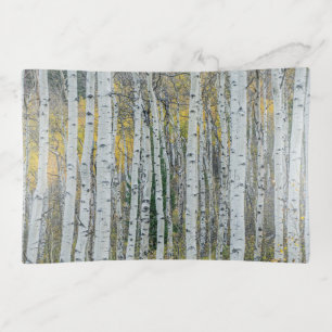 Aspen Tree Trunks Aspen, Colorado Trinket Tray