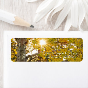 Aspen Tree With Yellow Fall Foliage And Sunburst Label