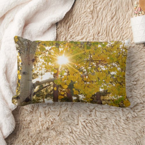 Aspen Tree With Yellow Fall Foliage And Sunburst Lumbar Pillow