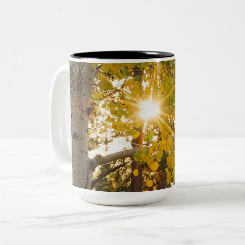 Aspen Trees Autumn Fall Foliage Sunburst Two_Tone Coffee Mug