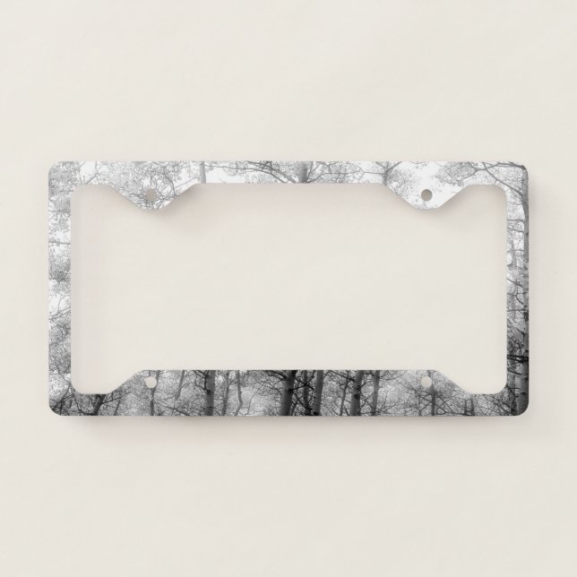 Aspen Trees - Black & White License Plate Frame (Front)