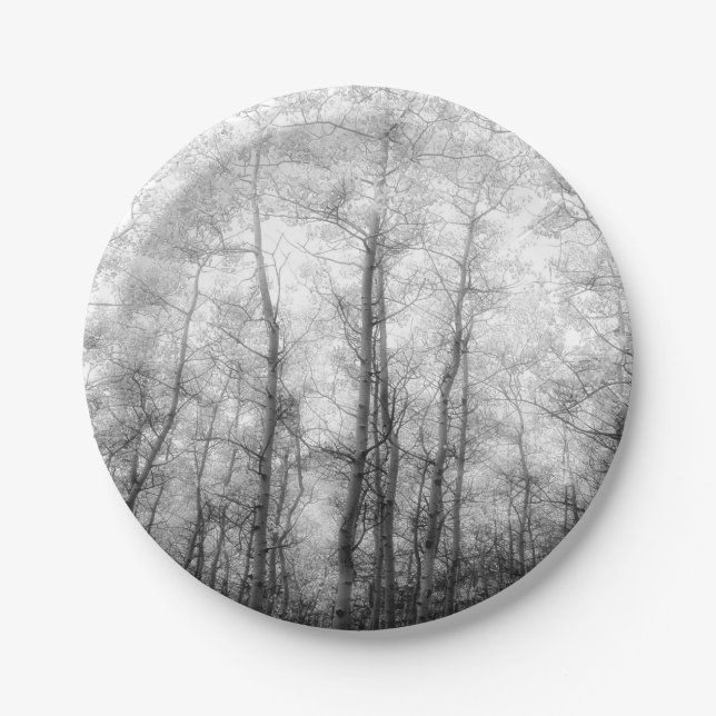 Aspen Trees - Black & White Paper Plates (Front)