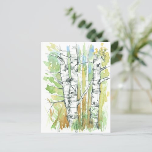 Aspen Trees Carved Heart White Bark Nature Postcard