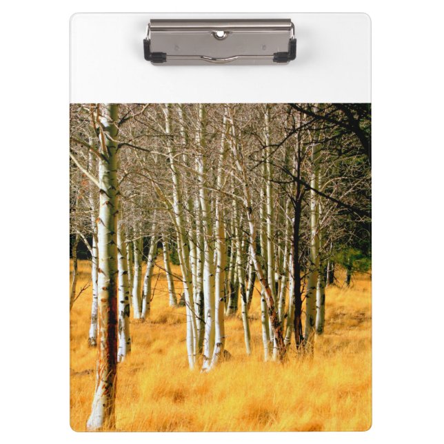 aspen trees clipboard (Front)