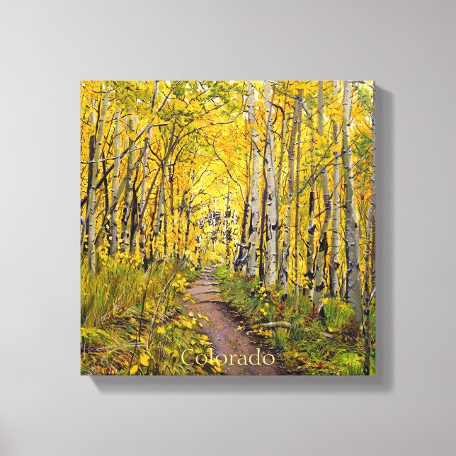 Aspen Trees In Autumn Canvas Print (Front)