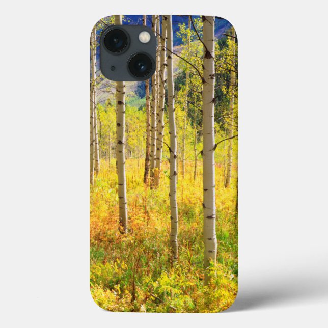 Aspen Trees in Autumn in the Rockies Case-Mate iPhone Case (Back)