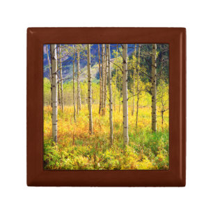 Aspen Trees in Autumn in the Rockies Gift Box