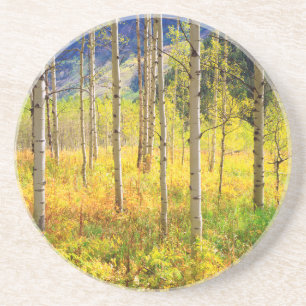 Aspen Trees in Autumn in the Rockies Sandstone Coaster