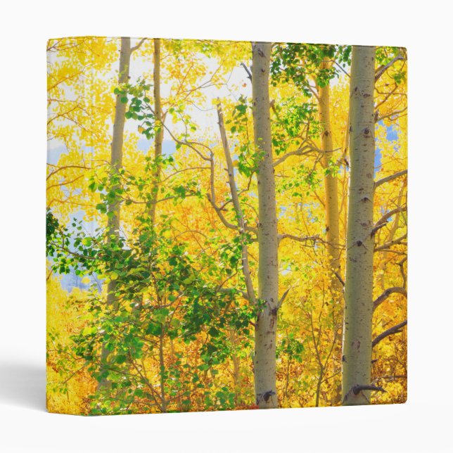 Aspen Trees In Fall | Sierra Nevada Mountains, CA 3 Ring Binder (Front/Spine)
