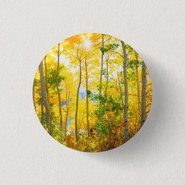Aspen Trees In Fall | Sierra Nevada Mountains, CA Button (Front)