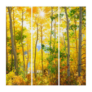 Aspen Trees In Fall   Sierra Nevada Mountains, CA Triptych