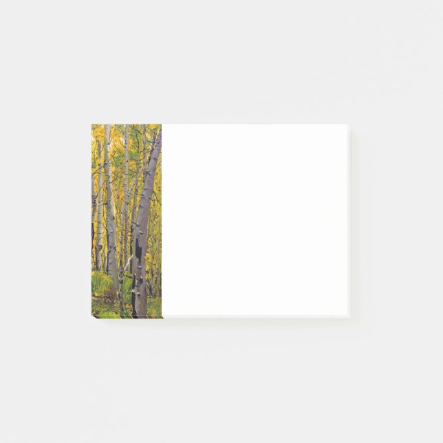 Aspen Trees in The Woodland Post-it Notes (Front)