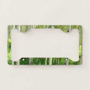 Aspen Trees License Plate Frame