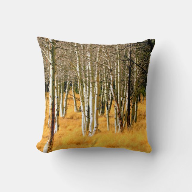 aspen trees pillow (Front)