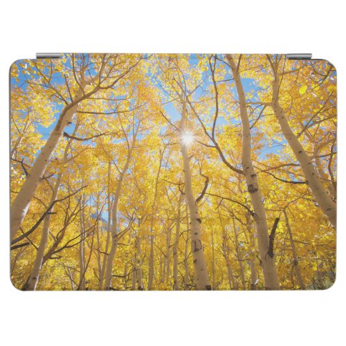 Aspen Trees  Sierra Nevada Mountains CA iPad Air Cover