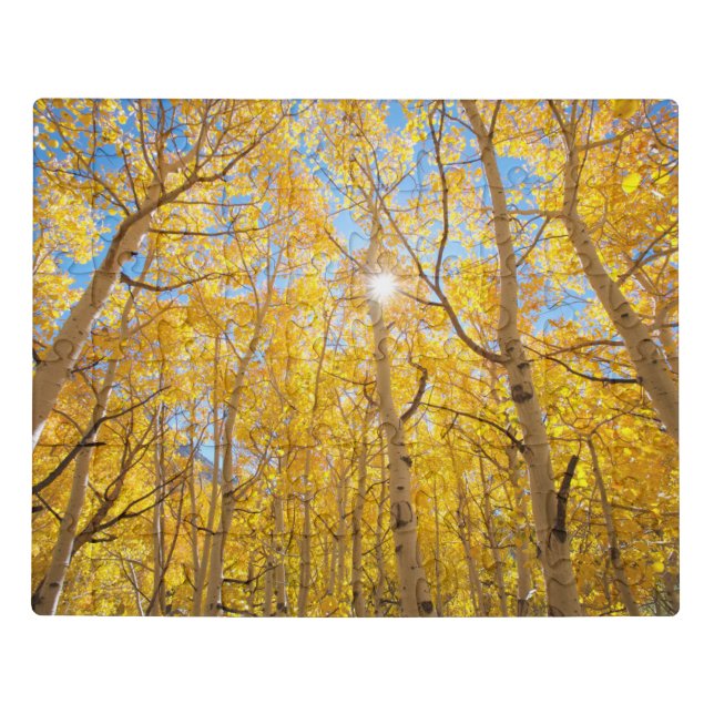 Aspen Trees | Sierra Nevada Mountains, CA Jigsaw Puzzle (Puzzle Horizontal)