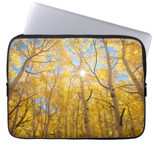 Aspen Trees  Sierra Nevada Mountains CA Laptop Sleeve