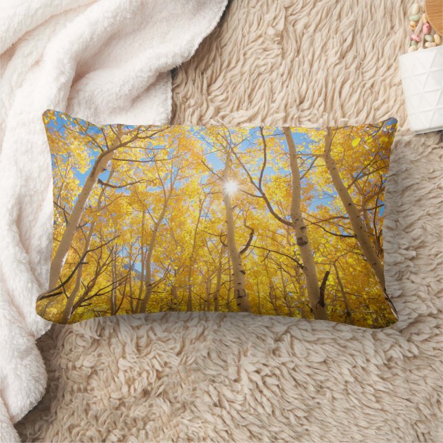 Aspen Trees | Sierra Nevada Mountains, CA Lumbar Pillow (Blanket)