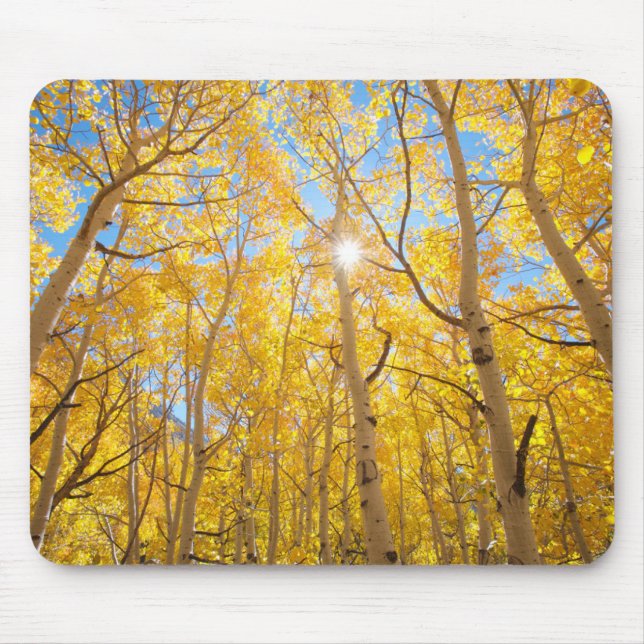 Aspen Trees | Sierra Nevada Mountains, CA Mouse Pad (Front)
