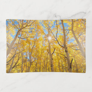 Aspen Trees   Sierra Nevada Mountains, CA Trinket Tray