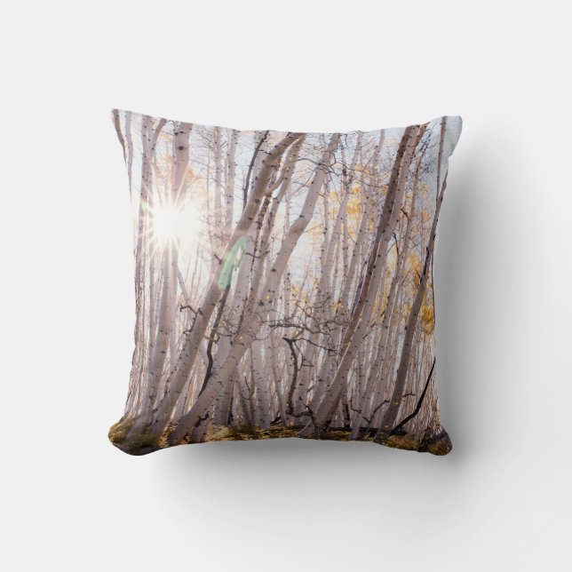 Aspen Trees Throw Pillow (Front)