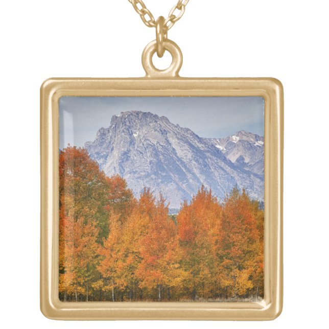 Aspen trees with the Teton mountain range Gold Plated Necklace (Front)