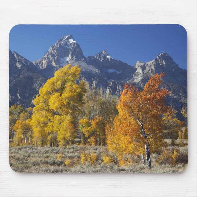Aspen trees with the Teton mountain range Mouse Pad (Front)