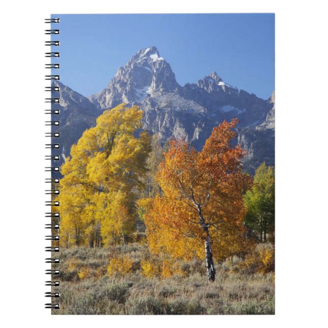 Aspen trees with the Teton mountain range Notebook (Front)