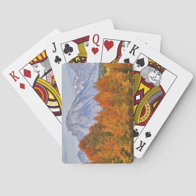Aspen trees with the Teton mountain range Poker Cards (Back)