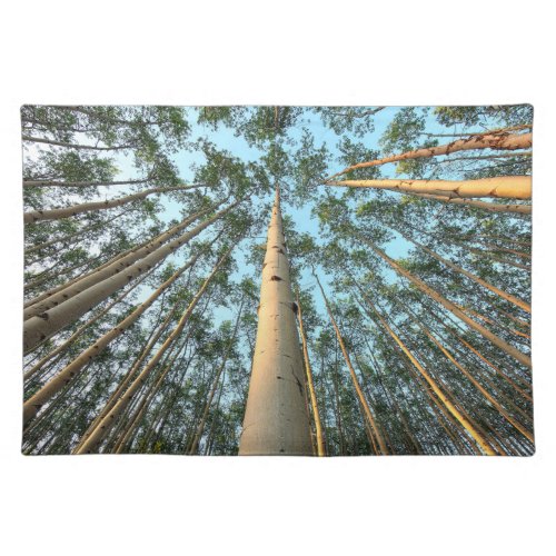 Aspen Trunks And Leaves Yukon Cloth Placemat