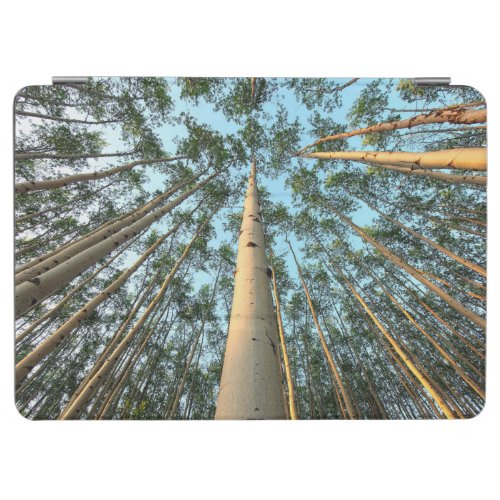 Aspen Trunks And Leaves Yukon iPad Air Cover