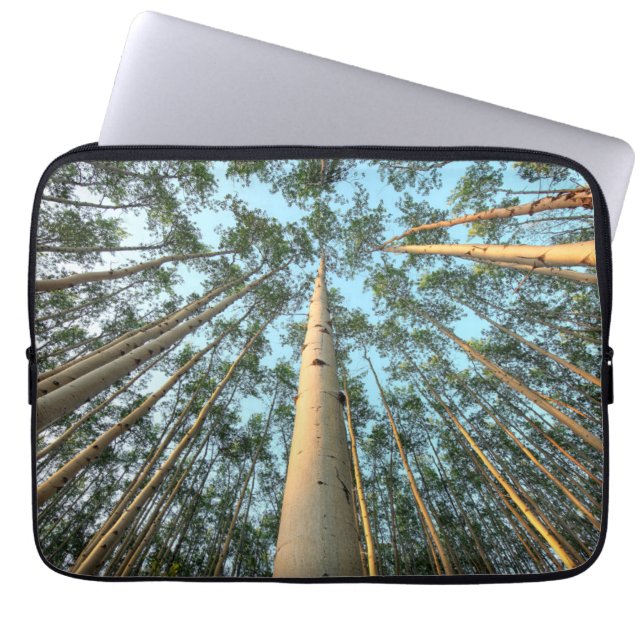 Aspen Trunks And Leaves, Yukon Laptop Sleeve (Front)