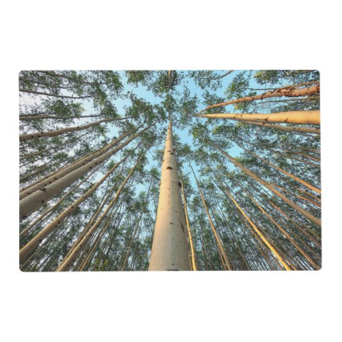 Aspen Trunks And Leaves Yukon Placemat