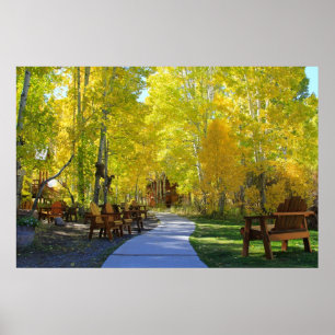 "Aspen Walkway" Fall Colors, Hope Valley CA. Poster