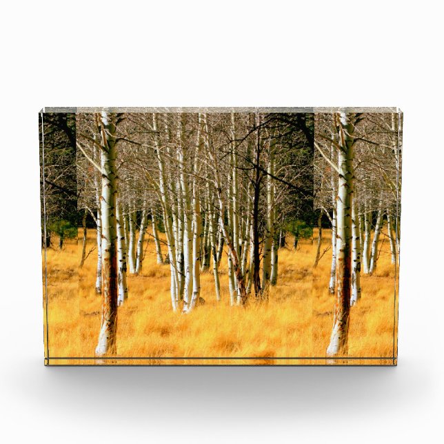 aspen woods award (Front)