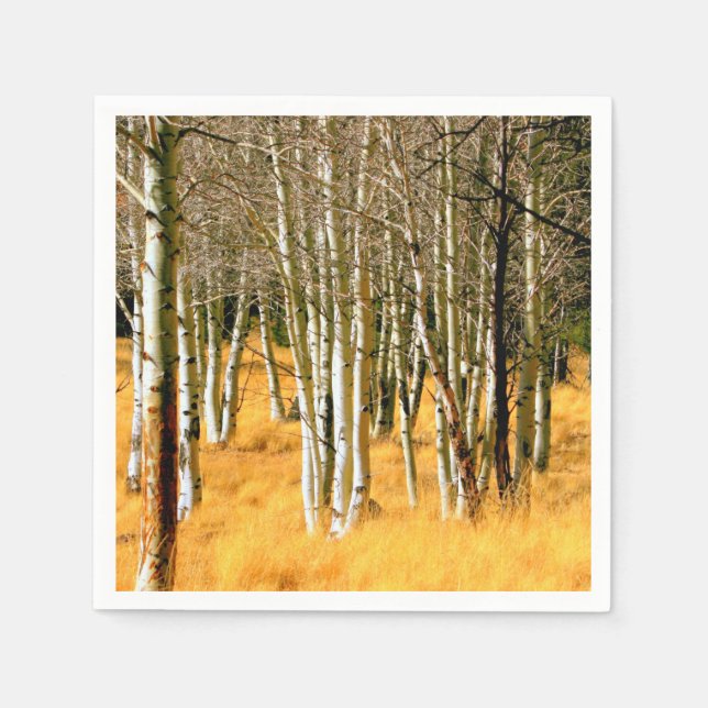 aspen woods paper napkins (Front)
