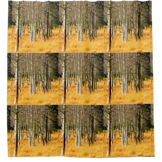 aspen woods shower curtain (Front)