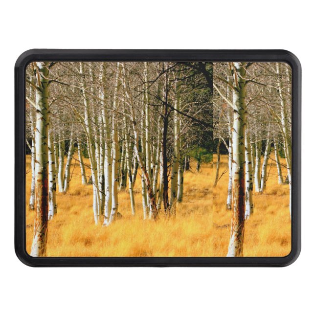 aspen woods trailer hitch cover (Front)