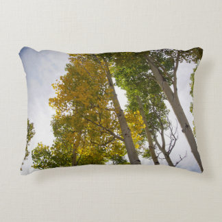 Aspens Accent Pillow