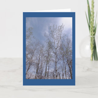 Aspens Against A Wisconsin Sky II Blank Note Card