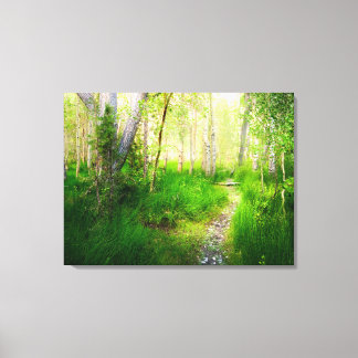 Aspens and Lush Grasses at Convict Lake Canvas Print