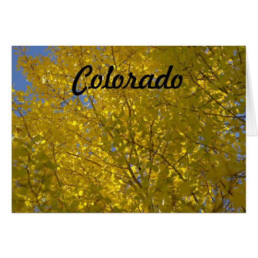 Aspens Card (Front Horizontal)