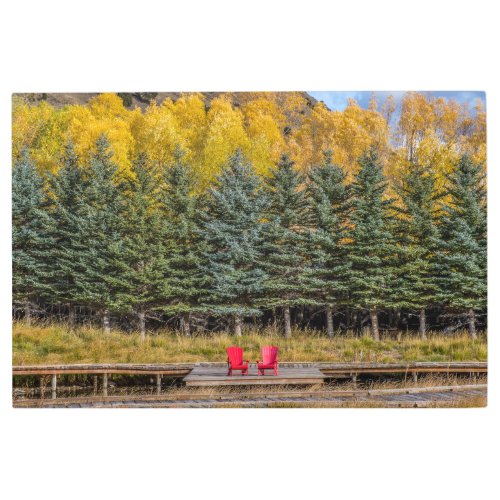 Aspens in Autumn Metal Print