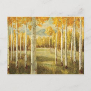 Aspens In Autumn Postcard by wildapple at Zazzle