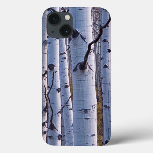 Aspens In Gunnison National Park iPhone 13 Case