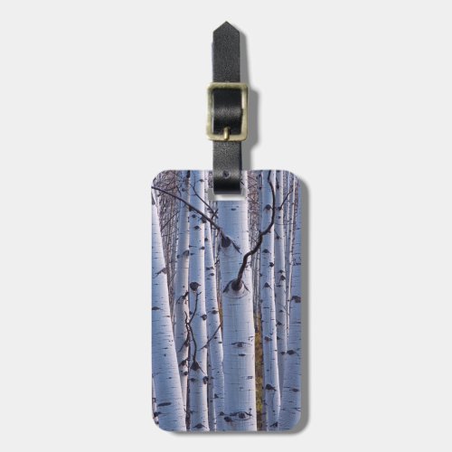 Aspens In Gunnison National Park Luggage Tag