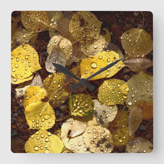Aspens in the Mountains Clock (Front)