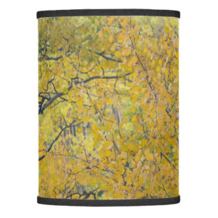 Aspens Lamp Shade