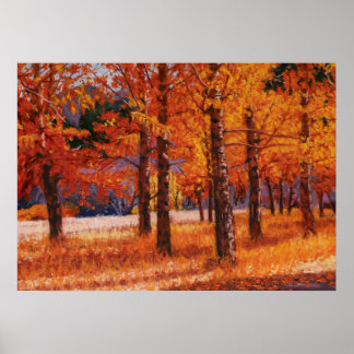 Aspens of Colorado in Beautiful Autumn Splendor Poster